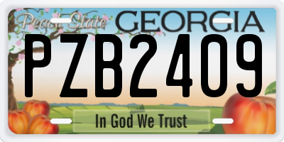 GA license plate PZB2409