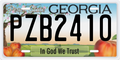 GA license plate PZB2410