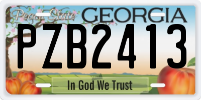 GA license plate PZB2413