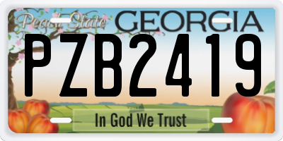GA license plate PZB2419
