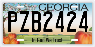 GA license plate PZB2424