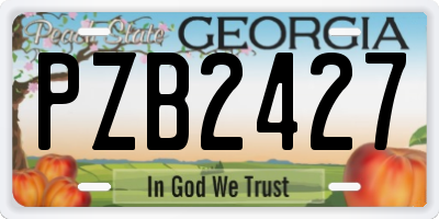 GA license plate PZB2427