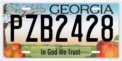 GA license plate PZB2428