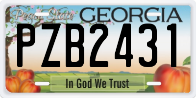 GA license plate PZB2431