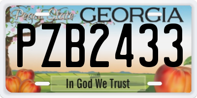 GA license plate PZB2433