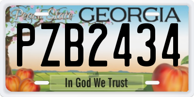 GA license plate PZB2434