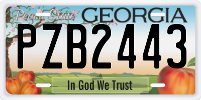 GA license plate PZB2443