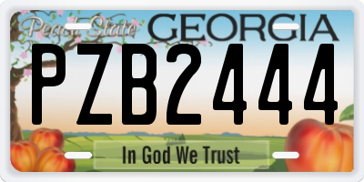 GA license plate PZB2444