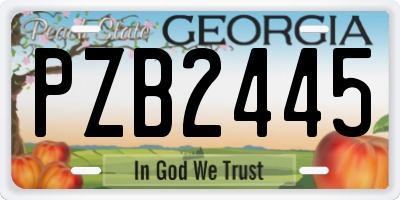 GA license plate PZB2445