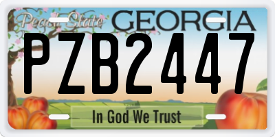 GA license plate PZB2447