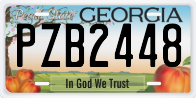 GA license plate PZB2448