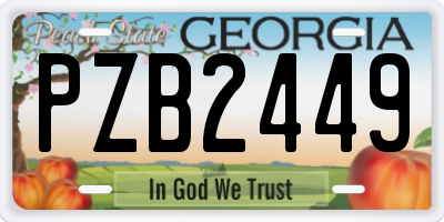 GA license plate PZB2449