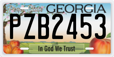 GA license plate PZB2453