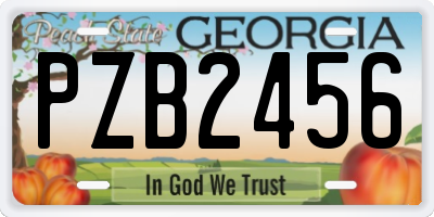 GA license plate PZB2456