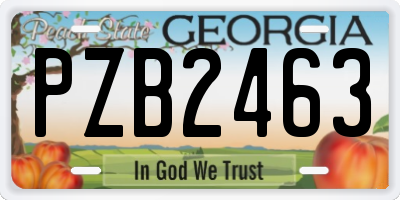 GA license plate PZB2463