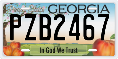 GA license plate PZB2467