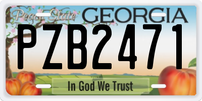 GA license plate PZB2471
