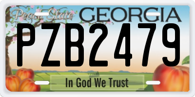 GA license plate PZB2479