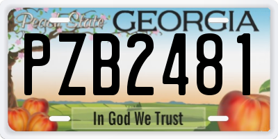 GA license plate PZB2481