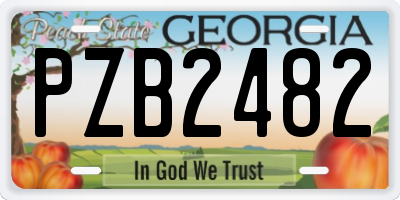 GA license plate PZB2482