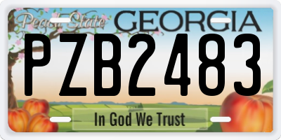 GA license plate PZB2483
