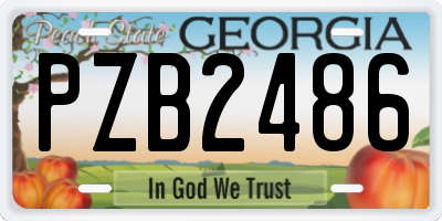 GA license plate PZB2486