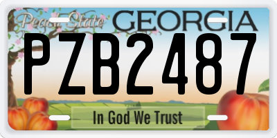 GA license plate PZB2487