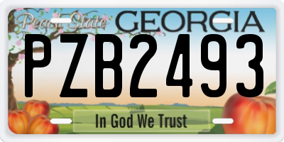 GA license plate PZB2493