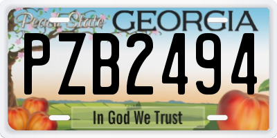 GA license plate PZB2494