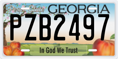 GA license plate PZB2497