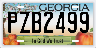 GA license plate PZB2499