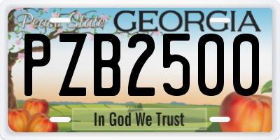 GA license plate PZB2500