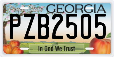 GA license plate PZB2505