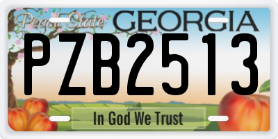 GA license plate PZB2513