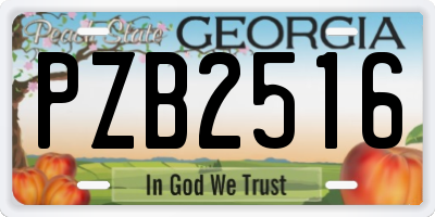 GA license plate PZB2516