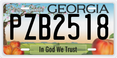 GA license plate PZB2518