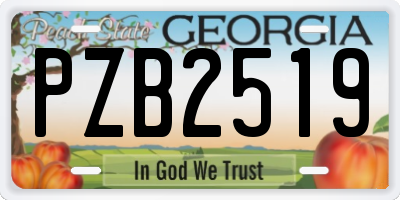 GA license plate PZB2519
