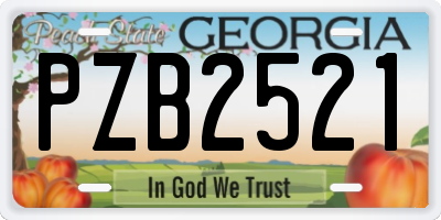 GA license plate PZB2521