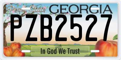 GA license plate PZB2527