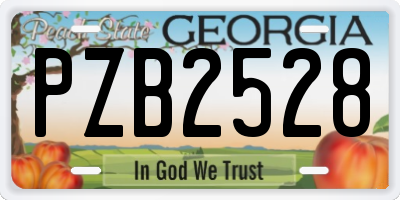 GA license plate PZB2528