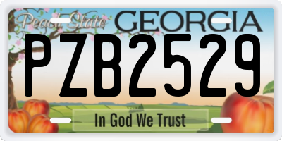 GA license plate PZB2529