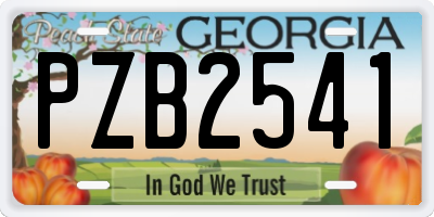 GA license plate PZB2541