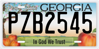 GA license plate PZB2545