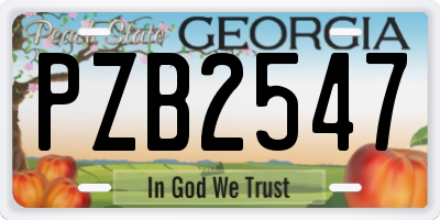GA license plate PZB2547