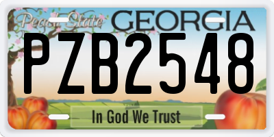 GA license plate PZB2548