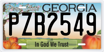 GA license plate PZB2549