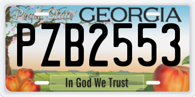GA license plate PZB2553