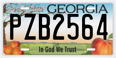 GA license plate PZB2564