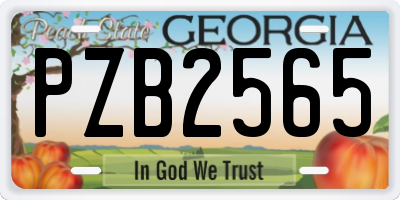 GA license plate PZB2565