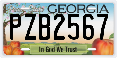 GA license plate PZB2567